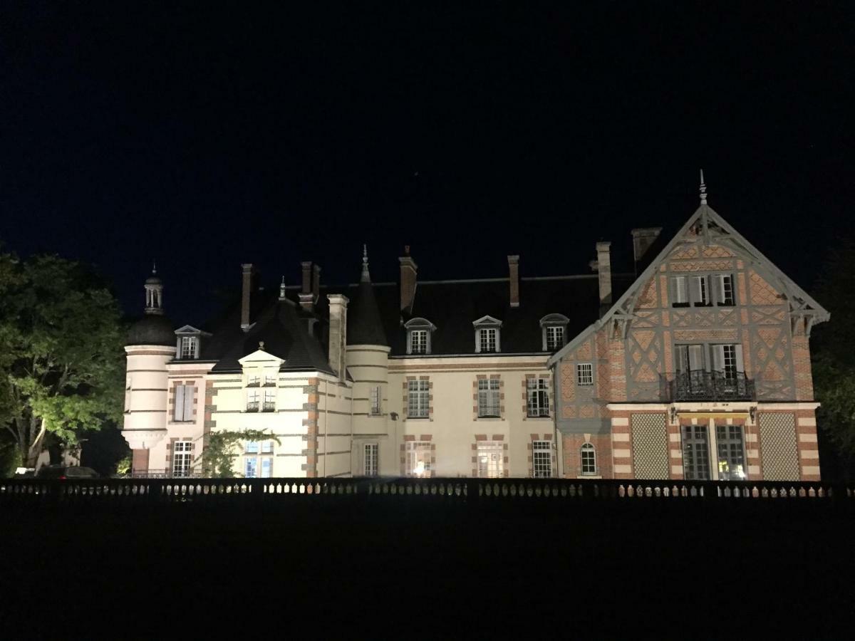 Chateau De La Faye Menetreol-sur-Sauldre Экстерьер фото
