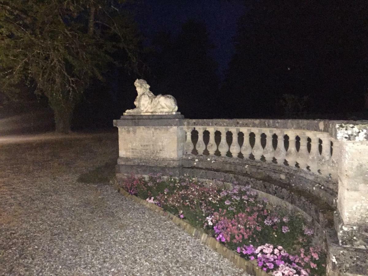 Chateau De La Faye Menetreol-sur-Sauldre Экстерьер фото